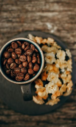 pexels-wildlittlethingsphoto-912246